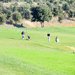 Golf_Barcelona_DD_120_sqthb75x75.jpeg
