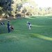 Golf_Barcelona_DD_122_sqthb75x75.jpeg