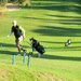 Golf_Barcelona_DD_126_sqthb75x75.jpeg